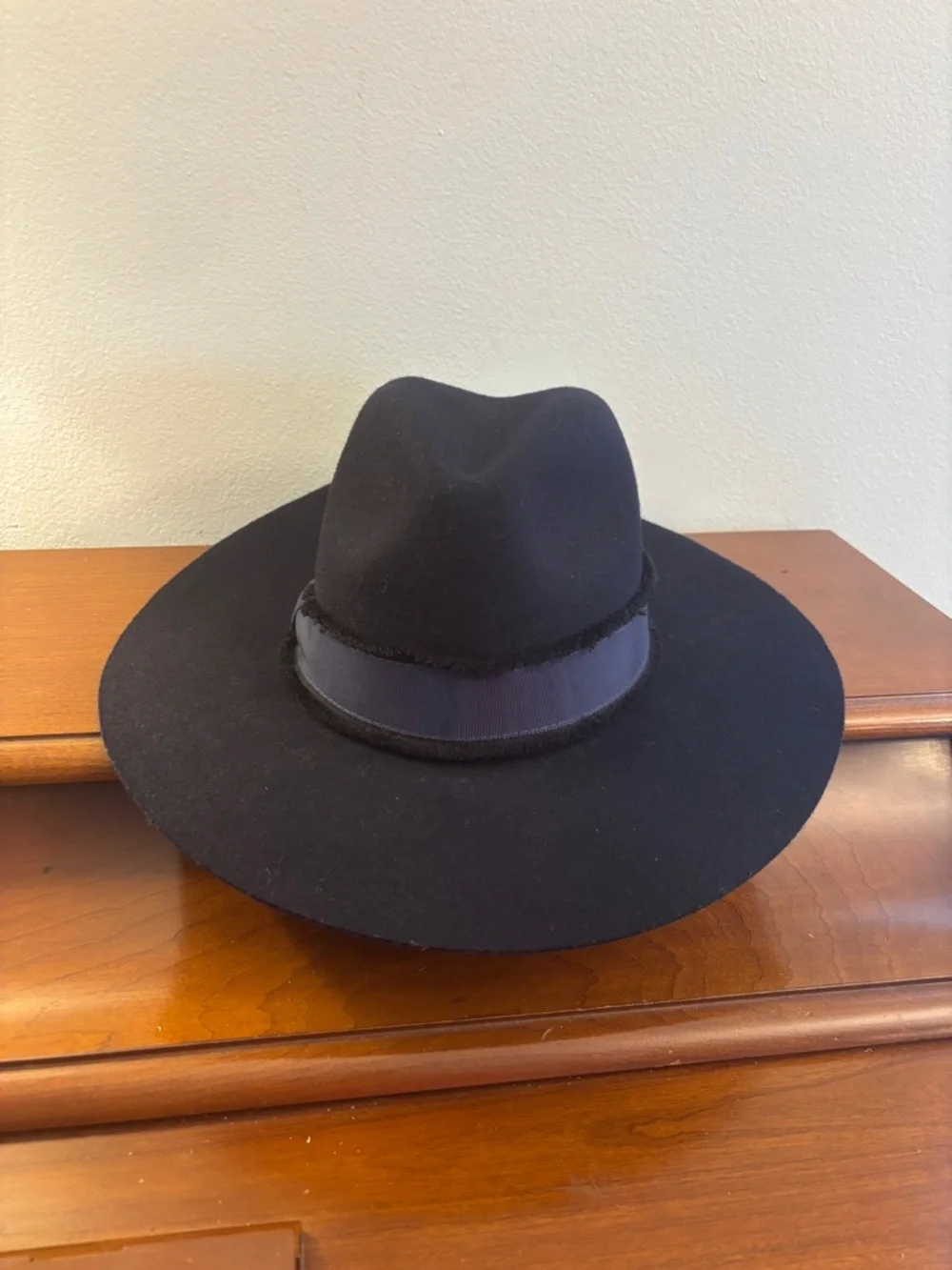 Banana Republic Frayed Ribbon Wool Fedora Hat